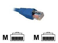 Nexxt patch cable - blue