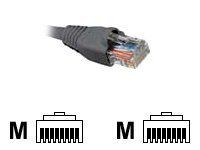 Nexxt patch cable - gray