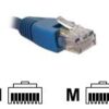 Nexxt patch cable - blue