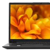 cat_laptop-12